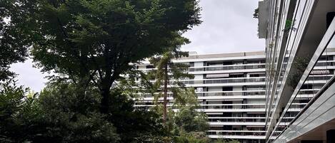 Terrain de l’hébergement