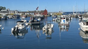A marina with various boats docked, a red building, and a clear blue sky. - Plum Cove Beach Paradise. Overlook Plum Cove from your kitchen n only steps away (Gloucester)