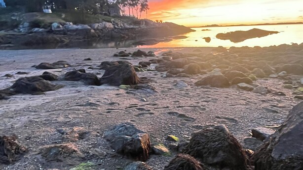 A rocky beach with a sunset in the background. - Plum Cove Beach Paradise. Overlook Plum Cove from your kitchen n only steps away (Gloucester)