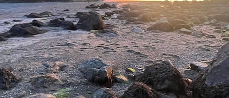 Sun-loungers, beach towels