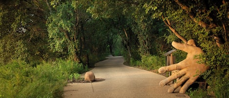 A pathway through a forest with a large sculpture of a hand on the right.