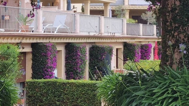 A balcony with purple bougainvillea flowers, a covered walkway, and a view of residential buildings. - Casa Violette (Benissa)