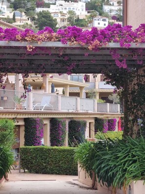En balkon med lilla bougainvilleablomster, en overdækket gang og udsigt til boligbygninger.