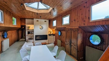 TV connectée, cheminée, lecteur de DVD, livres