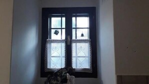 A corner room with a window, a small table, and a decorative wall. - Feel surrounded by nature. Pets allowed (Sežana)