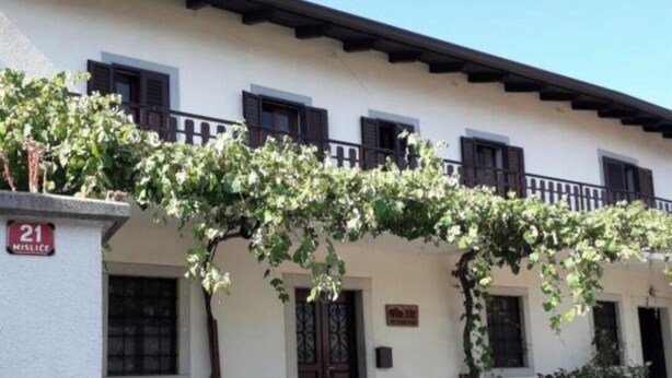 A building with a white facade, dark shutters, and a vine-covered pergola. - Feel surrounded by nature. Pets allowed (Sežana)