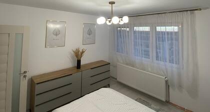 1 bedroom flat in the middle of Satu Mare.