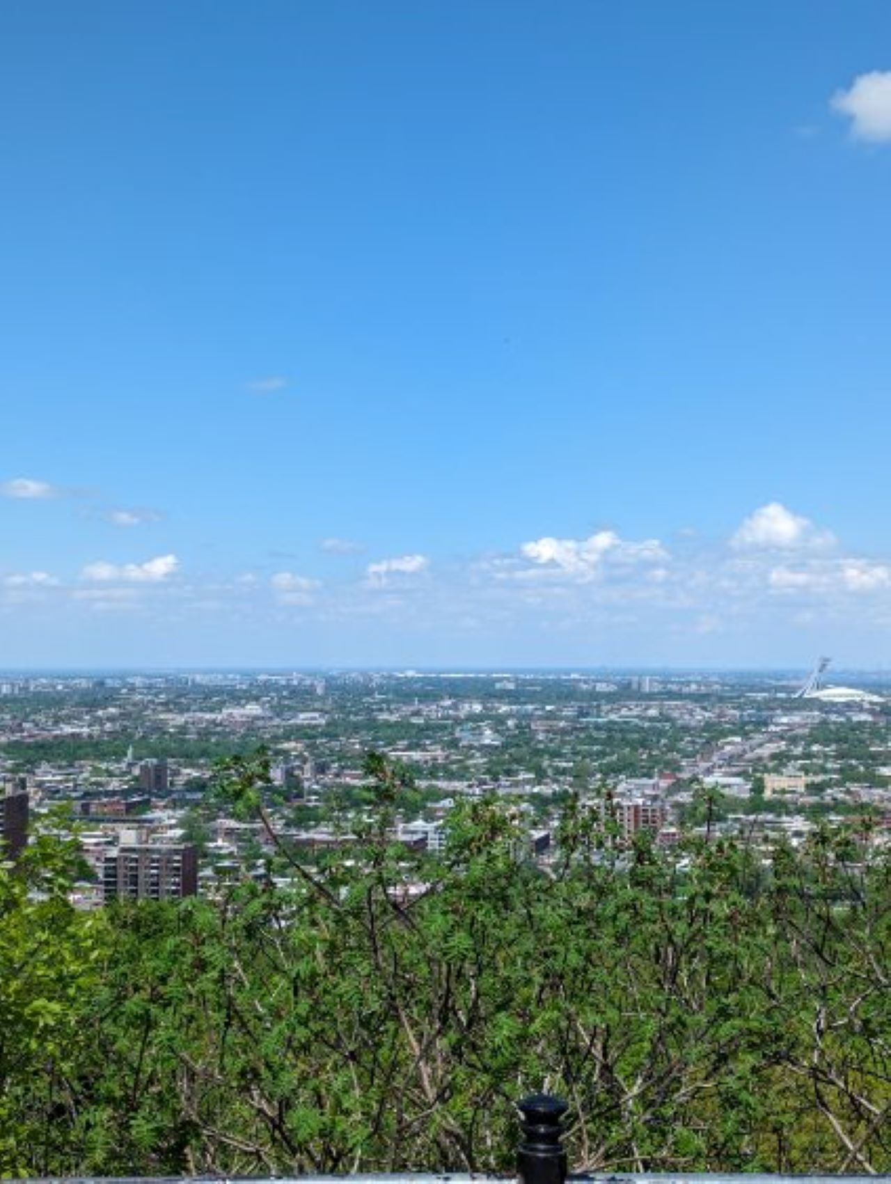 A panoramic view of a cityscape with buildings, greenery, and a clear sky.