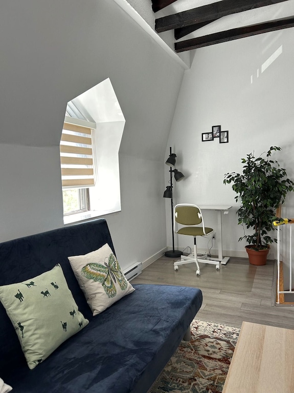 2 Bedrooms,1 Sofa Bed And 1,5 Bathrooms,renovated Apartment Plateau Mont-royal - Boucherville