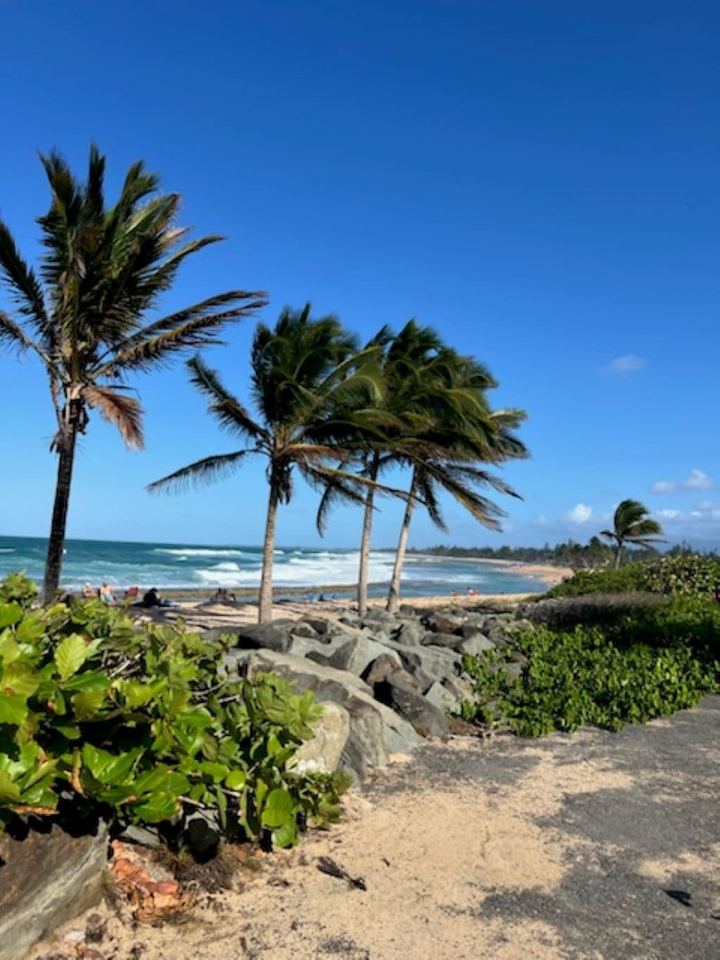 Solsenger og strandhåndklær