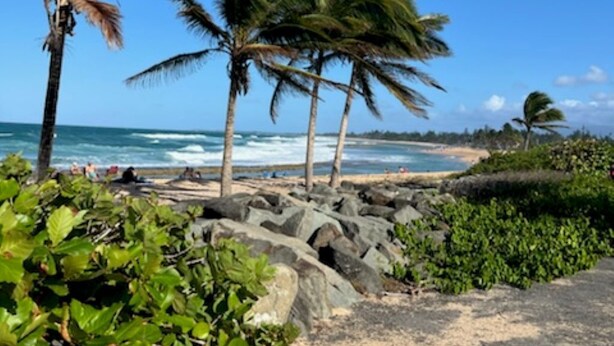 Ein Strand mit Palmen, einem felsigen Pfad und dem Meer im Hintergrund.