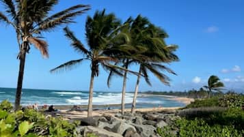 Sun loungers, beach towels