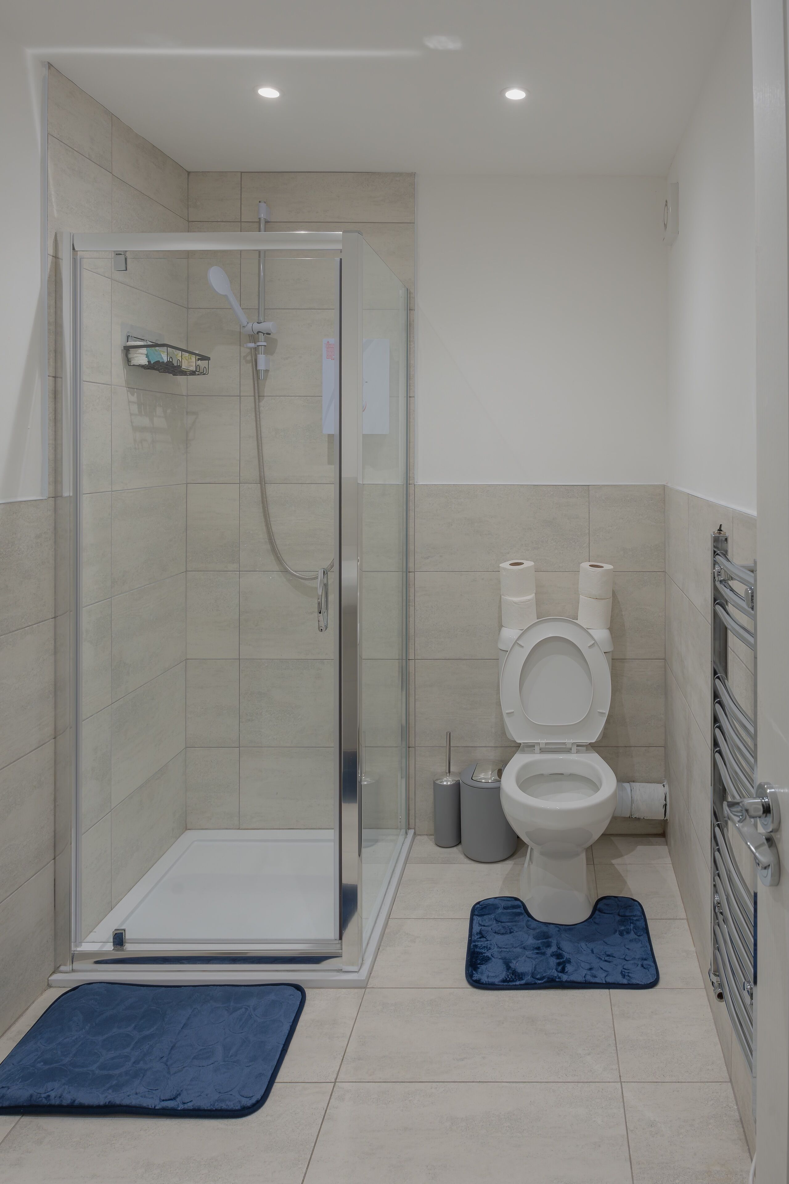 A modern bathroom with a glass-enclosed shower, a toilet, and a towel rack.