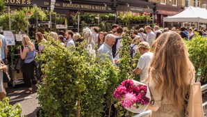 Ein belebter Markt im Freien, Menschen einkaufen, Verkäufer bieten Pflanzen und Blumen an.