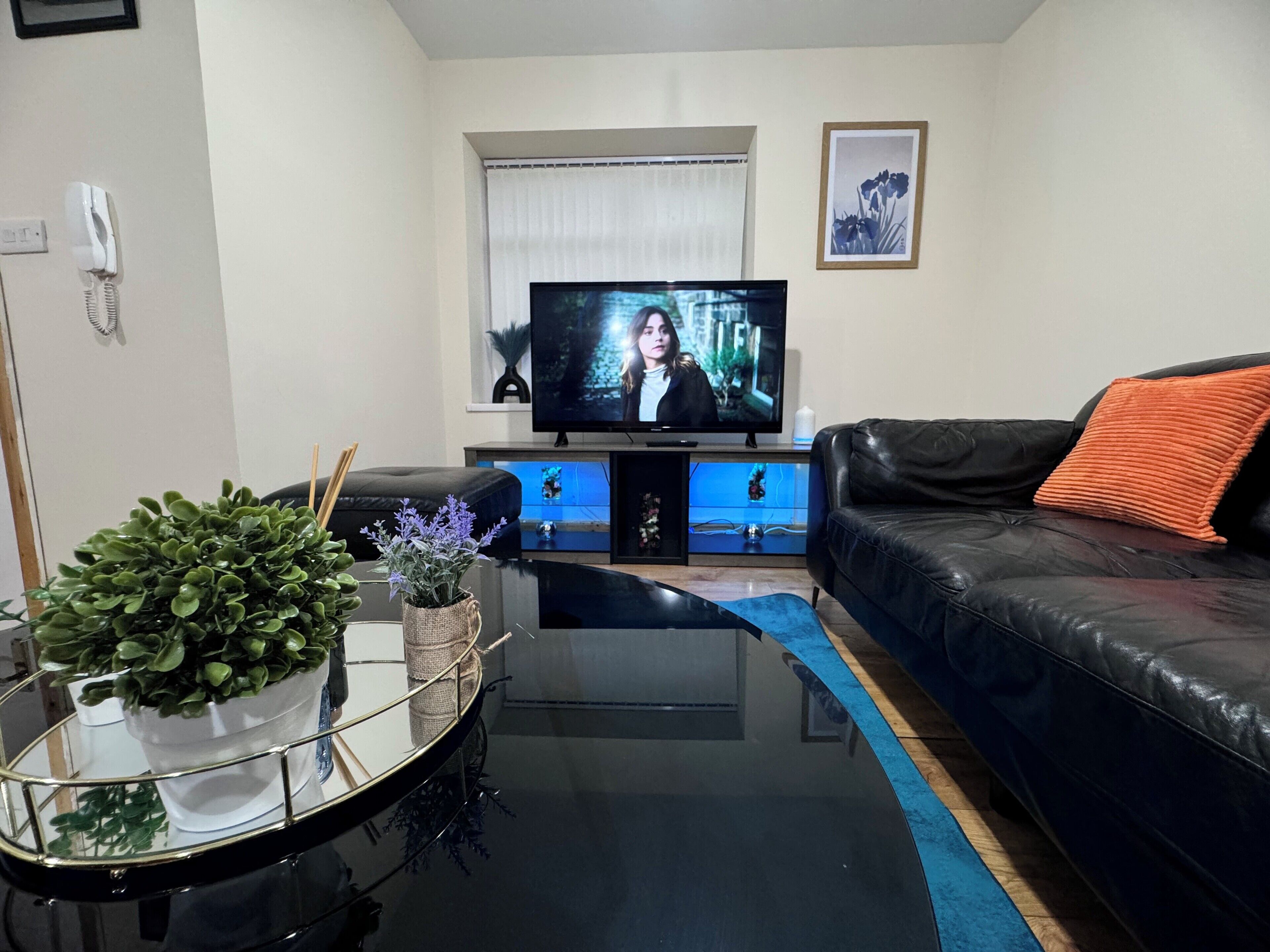 A living room with a black leather sofa, a glass coffee table with plants, a flat-screen TV on a stand, and a framed picture on the wall.