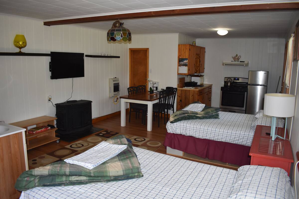Habitación compacta con dos camas, una mesa de comedor, área de cocina con refrigerador y estufa, y un televisor instalado en la pared.