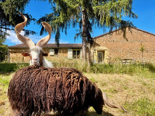 Vue épique : Gîte Magnifique.