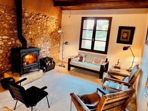 TV connectée, cheminée, livres