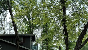 A wooden building with a stone foundation, a concrete pathway, and a 'Welcome Bay Loft' sign.