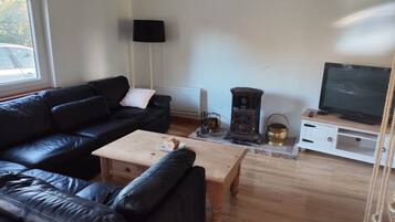 Televisión y chimenea