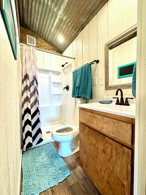 Shower, towels, toilet paper