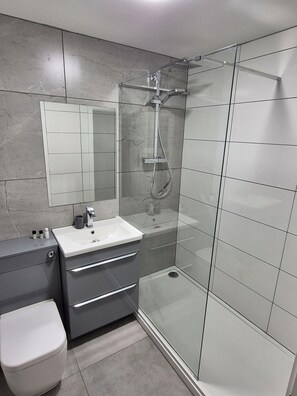 A modern bathroom with a glass-enclosed shower, a white sink, and a mirror above the vanity.