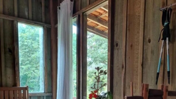 Estudio básico, lanai, vistas al jardín | Cocina privada