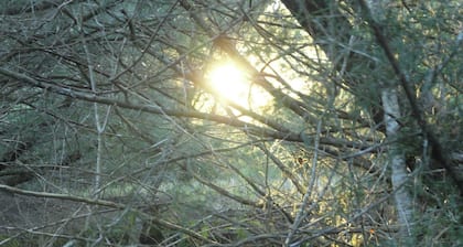 Monthly RV Space Rental - Electricity included - Secluded Spots Available