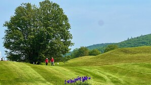 Un campo de golf con un gran árbol, dos personas con camisetas rojas y flores púrpuras en primer plano.