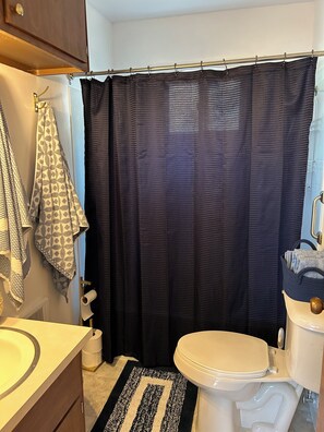 Secadora de cabello, toallas, jabón, shampoo