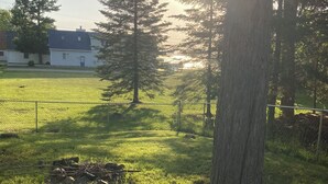A grassy field with a large tree in the foreground and a building in the background. - Family Friendly Lake View Home. Only steps away from Houghton Lake. (Houghton Lake)
