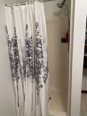 Shower, hair dryer, towels, soap - Charming studio, lower lever of the Northstar Getaway in peaceful Warroad (Warroad)