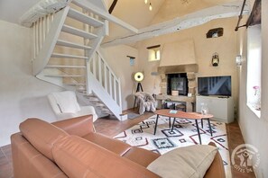 TV, fireplace, books