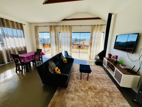 Smart TV, fireplace, books