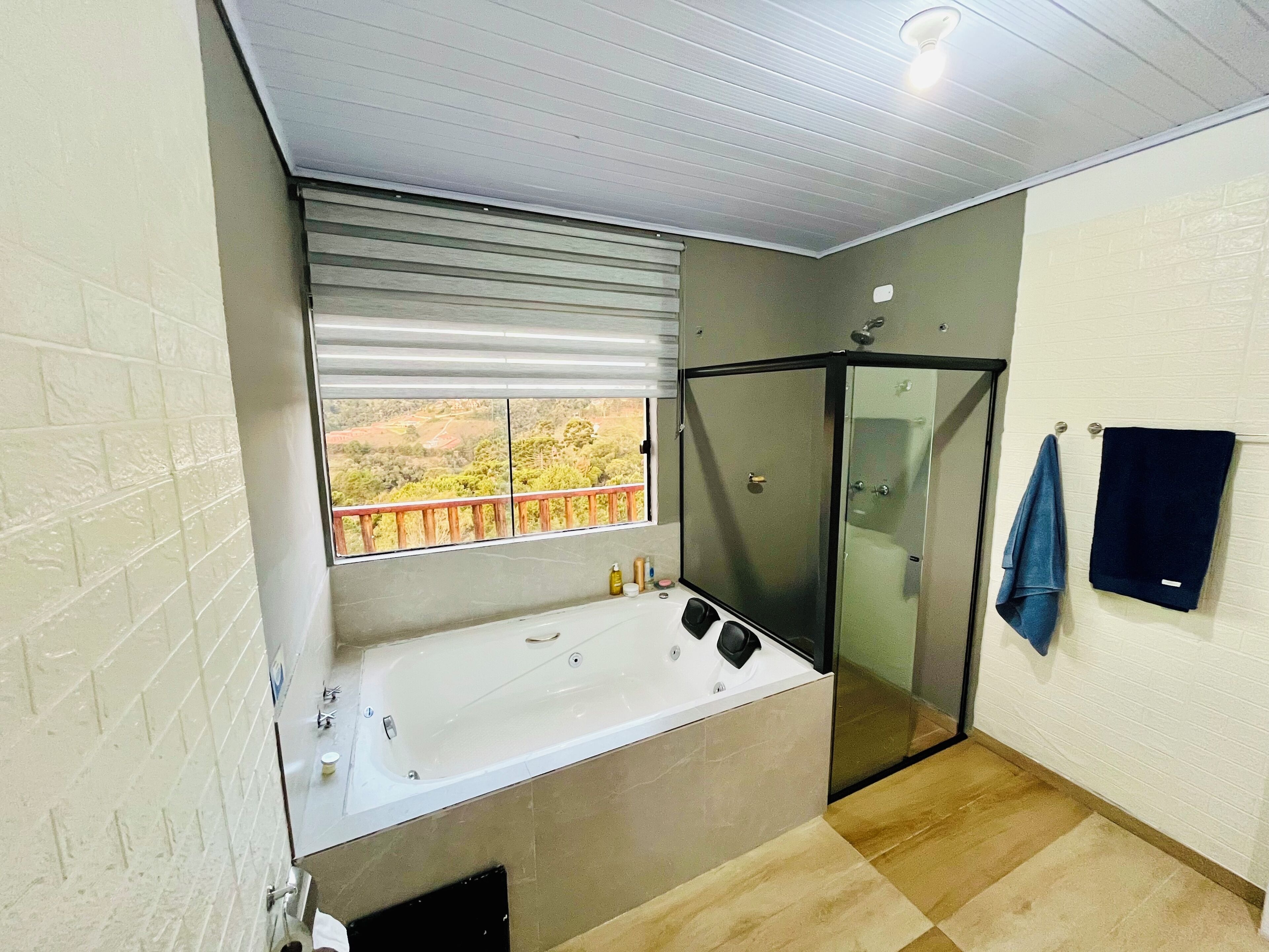 Shower, jetted tub, hair dryer, towels