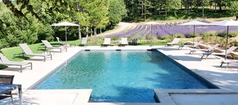 Bastide de l'Esclat - Piscine - Champs de Lavandes