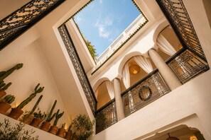 A multi-level atrium with cacti, a skylight, and ornate iron railings.