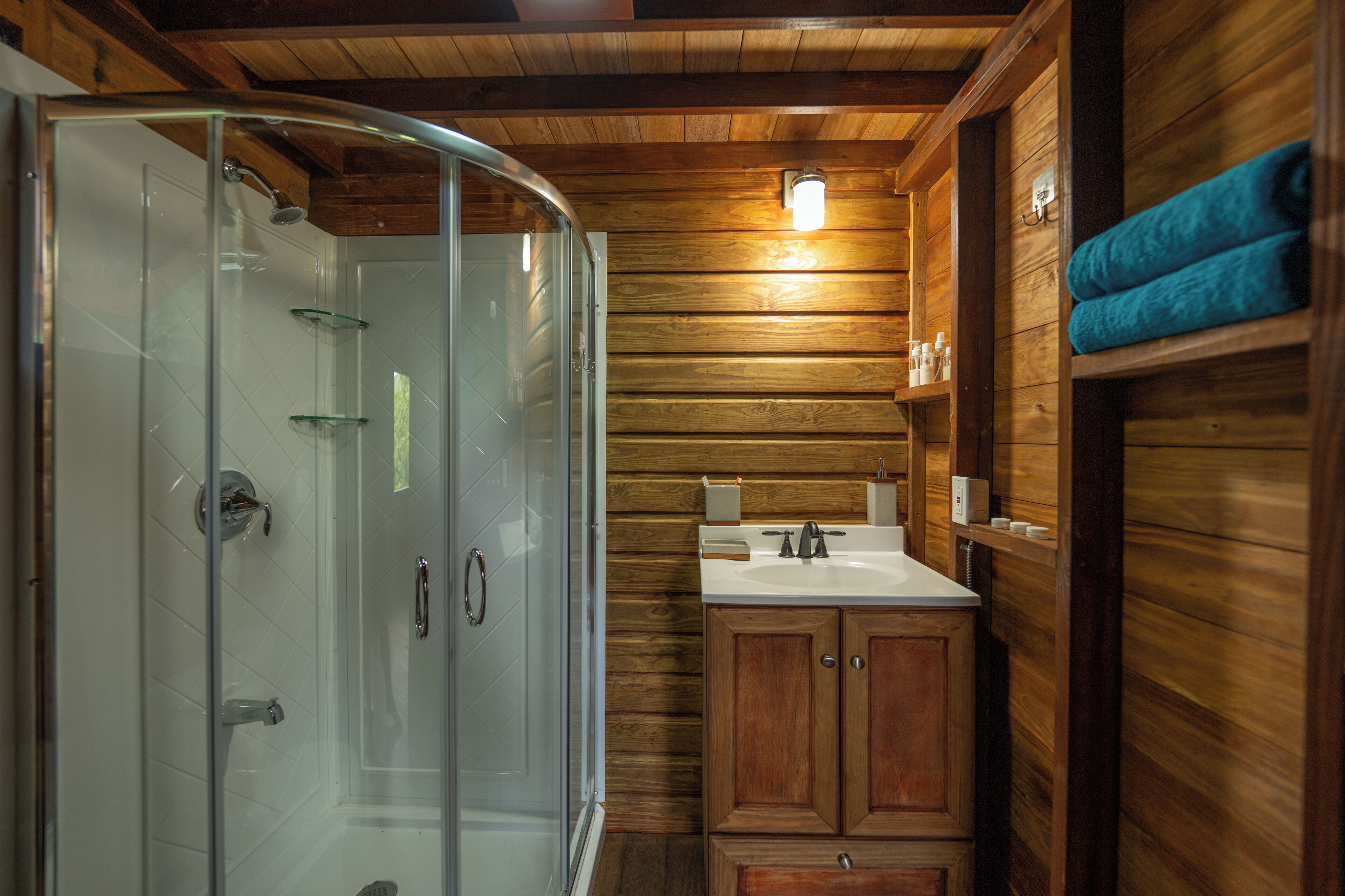 Towels, soap, shampoo, toilet paper