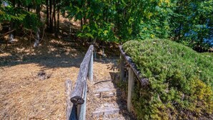 A wooden bench in a forested area with a dirt path and a small hill. - Bohemian Oasis on Vine (Paso Robles)