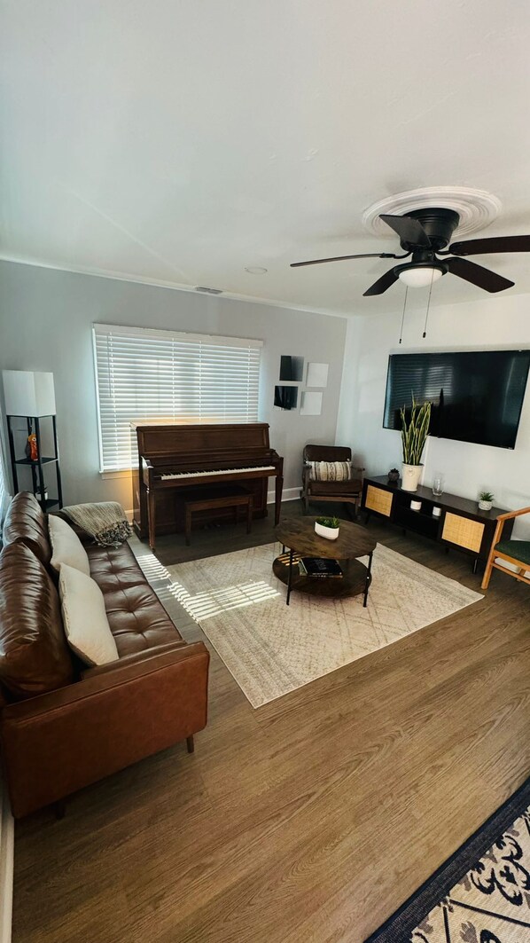 Smart TV, fireplace, books, computer monitors