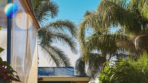 A modern house with a covered patio, a well-maintained lawn, and tall palm trees. - Mirambeena Motel (Whyalla)