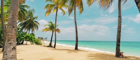 بالقرب من الشاطئ