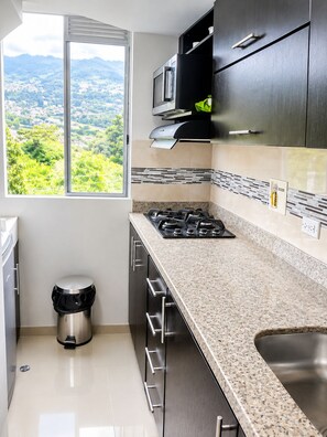 Une cuisine moderne équipée d’une cuisinière à gaz, d’appareils électroménagers en acier inoxydable et offrant une vue sur un paysage verdoyant grâce à une grande fenêtre.
