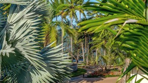 Property grounds - Driftwood Mantaray Two Bedroom Two Bathroom Penthouse (Port Douglas)