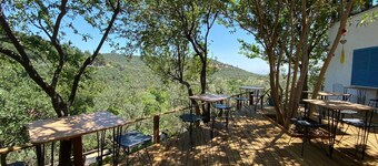 卡茲山脈獅子飯店