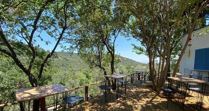 The Lion Inn KazdaÄları