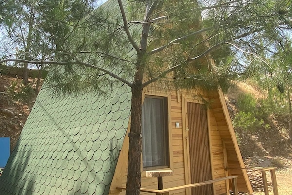 1 habitaciĂłn, minibar y ropa de cama