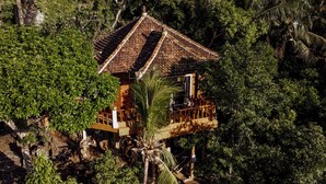 A traditional thatched-roof house with a wooden balcony, surrounded by dense tropical vegetation. - Kailash Lodge  (Tejakula)
