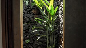 An arched doorway with a stone wall and a potted plant. - Kailash Lodge  (Tejakula)