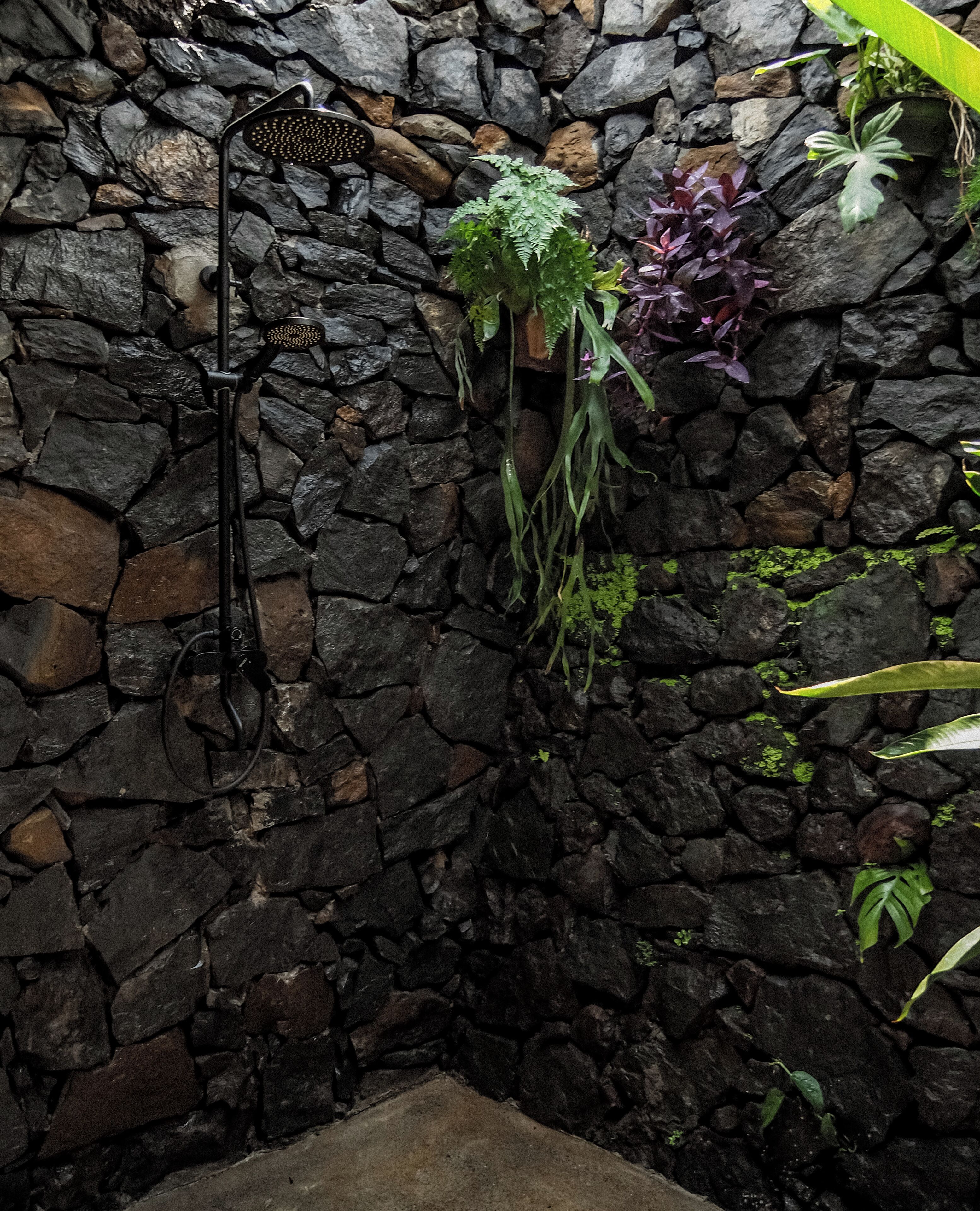 A stone wall with a showerhead and hanging plants.